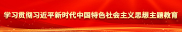 呃呃啊啊啊插进来了学习贯彻习近平新时代中国特色社会主义思想主题教育